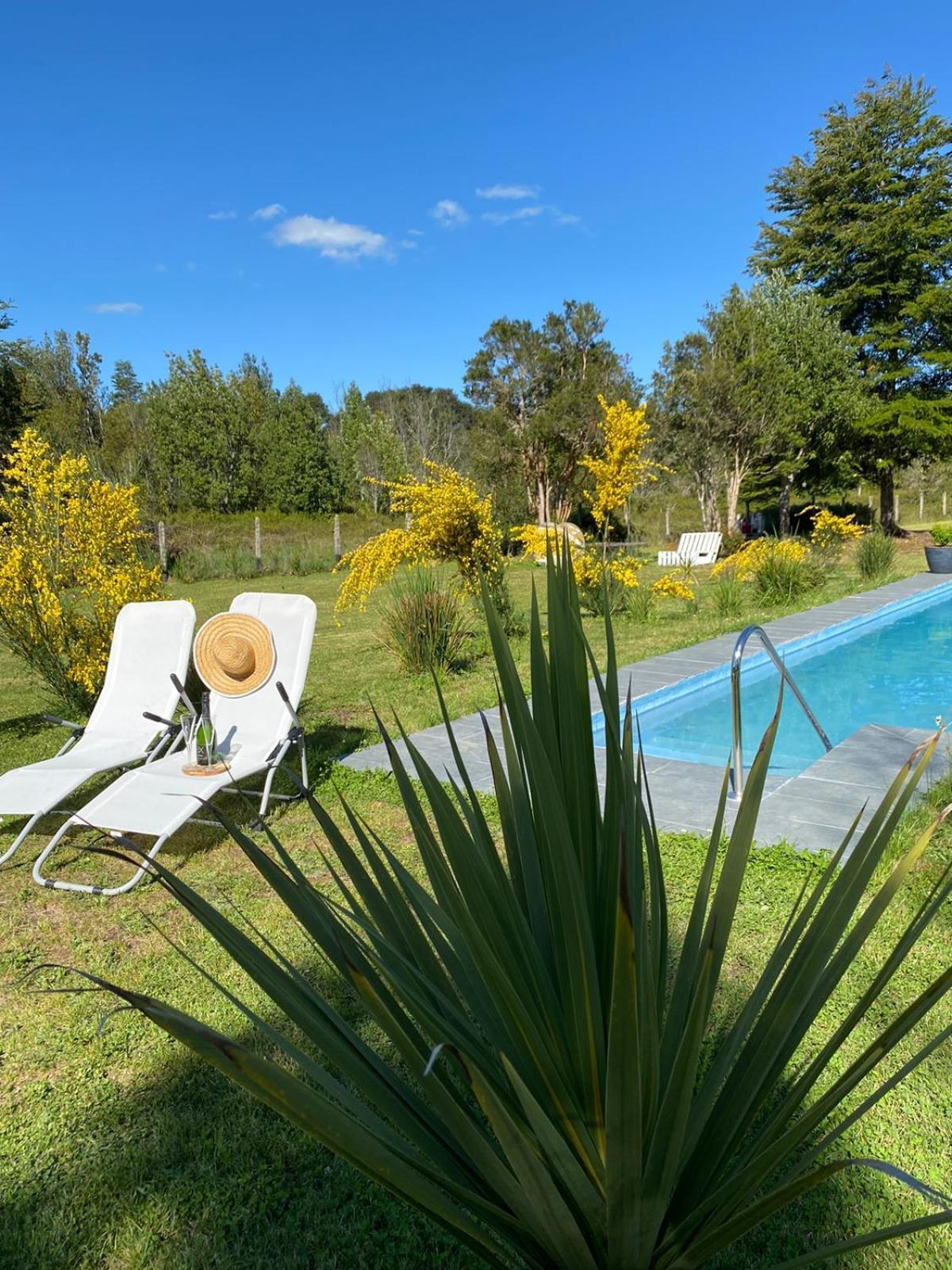 Casa Con Piscina Y Cama Elastica *