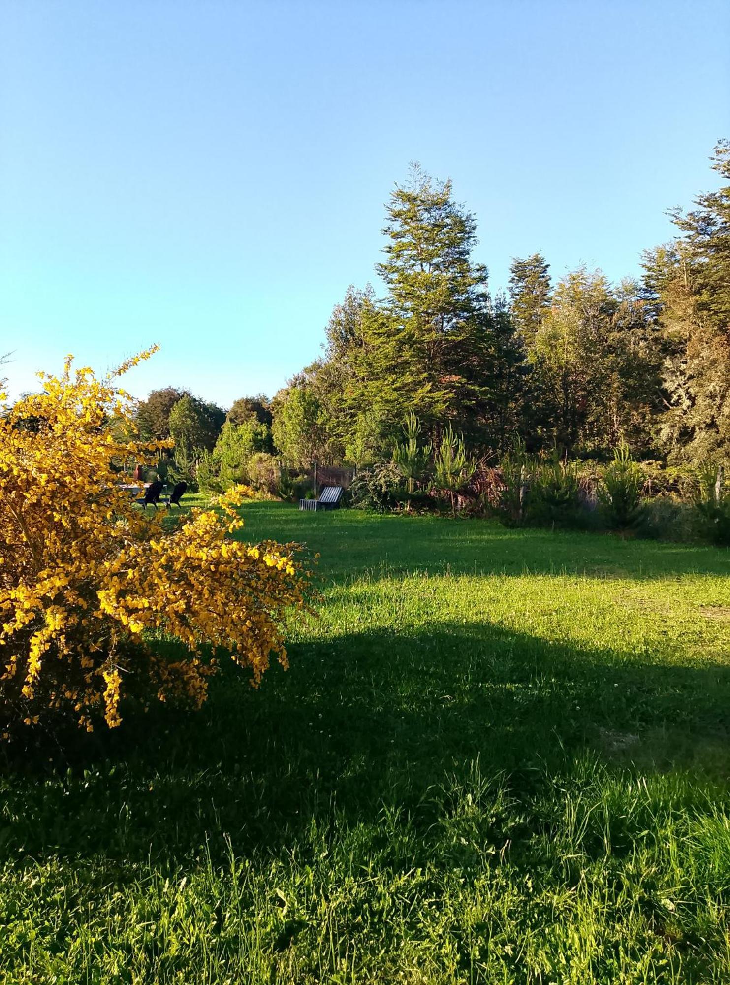 Casa Con Piscina Y Cama Elastica Puerto Varas